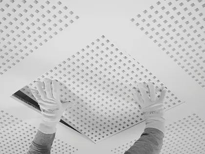 Systems Gyptone BIG Access panel