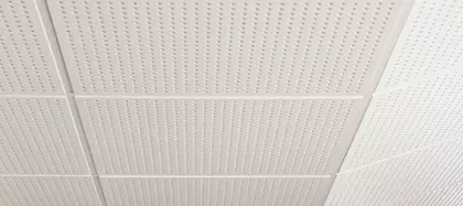 Gyptone-acoustic-ceiling-school